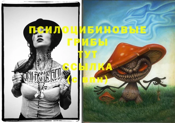 ПСИЛОЦИБИНОВЫЕ ГРИБЫ Богородск