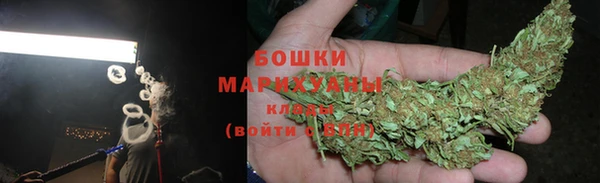 сатива Касимов