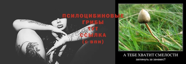 мескалин Каменногорск