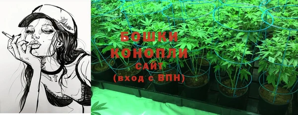 ПСИЛОЦИБИНОВЫЕ ГРИБЫ Богородск