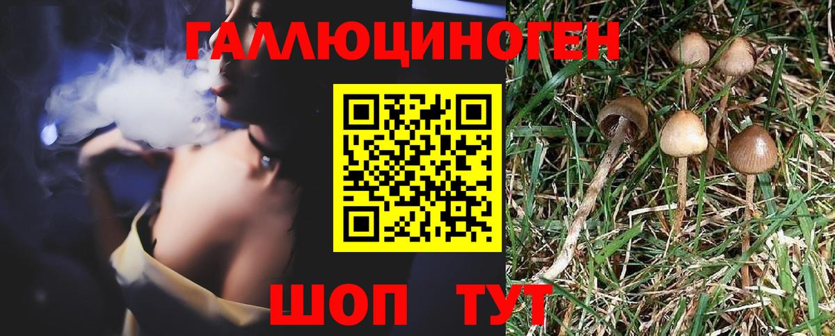 Псилоцибиновые грибы Psilocybine cubensis Пыть-Ях